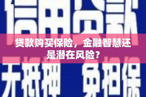 湖北贷款购买保险，金融智慧还是潜在风险？