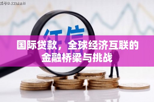 湖北国际贷款，全球经济互联的金融桥梁与挑战