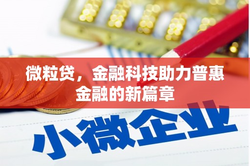 湖北微粒贷，金融科技助力普惠金融的新篇章