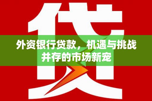 湖北外资银行贷款，机遇与挑战并存的市场新宠