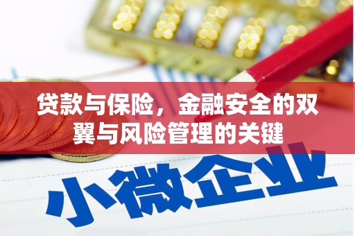 湖北贷款与保险，金融安全的双翼与风险管理的关键