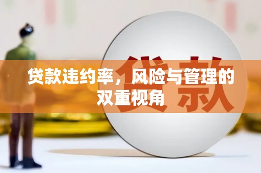 湖北贷款违约率，风险与管理的双重视角