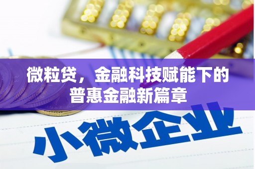 湖北微粒贷，金融科技赋能下的普惠金融新篇章