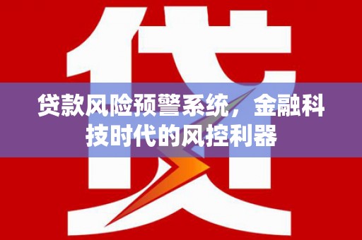 湖北贷款风险预警系统，金融科技时代的风控利器
