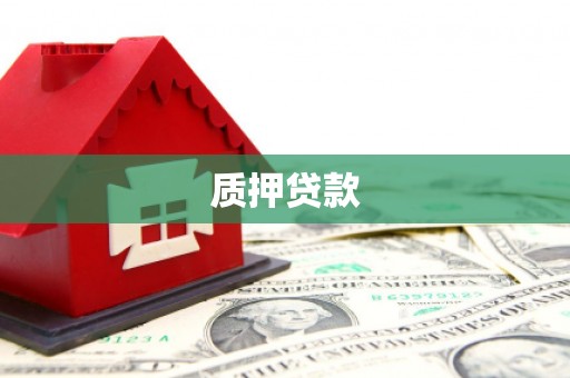 湖北质押贷款