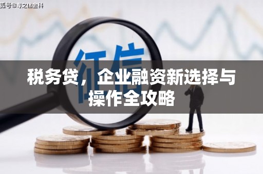 湖北税务贷，企业融资新选择与操作全攻略