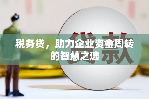 湖北税务贷，助力企业资金周转的智慧之选