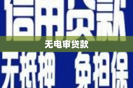 湖北无电审贷款