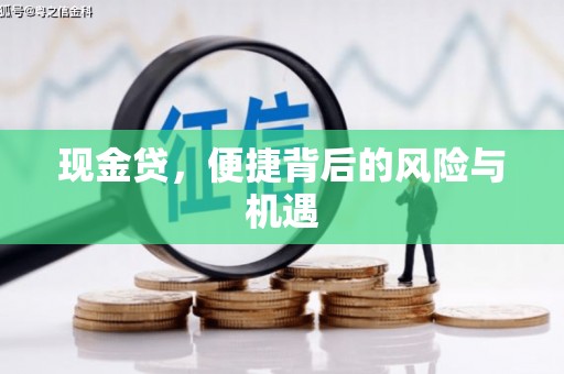湖北现金贷，便捷背后的风险与机遇