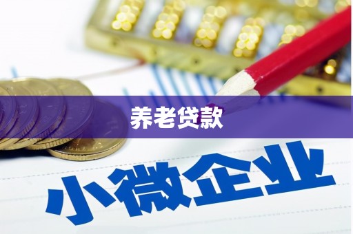 湖北养老贷款
