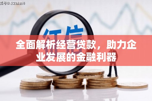 湖北全面解析经营贷款，助力企业发展的金融利器