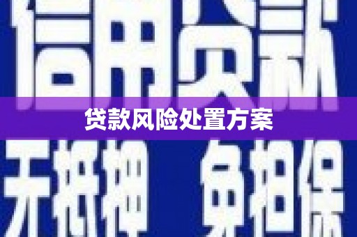 湖北贷款风险处置方案
