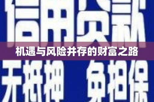 湖北机遇与风险并存的财富之路