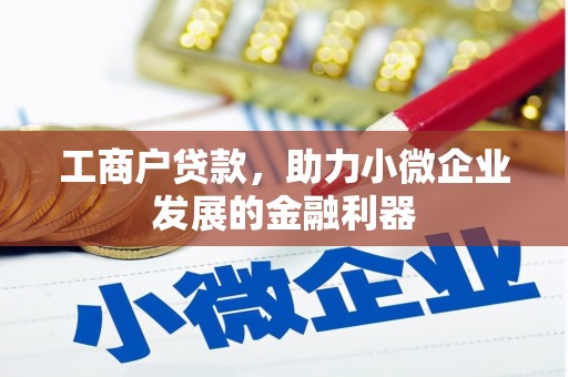 湖北工商户贷款，助力小微企业发展的金融利器