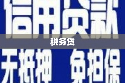 湖北税务贷