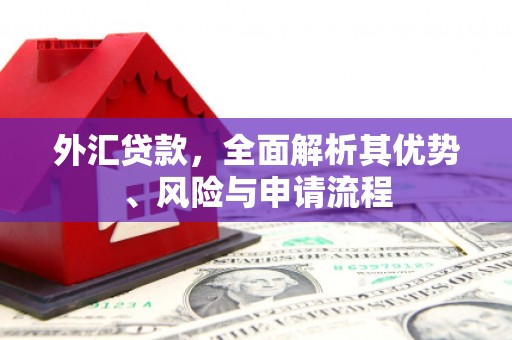 湖北外汇贷款，全面解析其优势、风险与申请流程