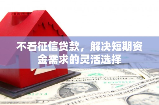 湖北不看征信贷款，解决短期资金需求的灵活选择