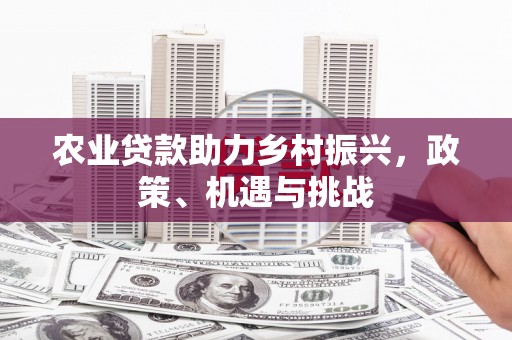 湖北农业贷款助力乡村振兴，政策、机遇与挑战