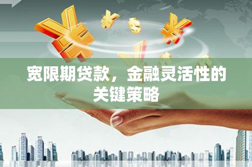 湖北宽限期贷款，金融灵活性的关键策略