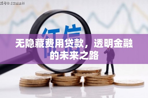 湖北无隐藏费用贷款，透明金融的未来之路