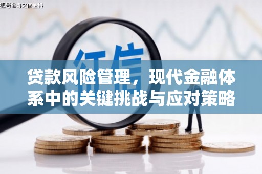 湖北贷款风险管理，现代金融体系中的关键挑战与应对策略