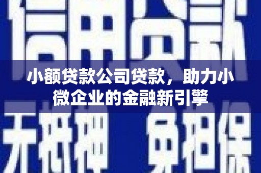 湖北小额贷款公司贷款，助力小微企业的金融新引擎
