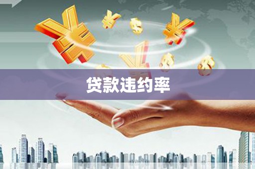 湖北贷款违约率
