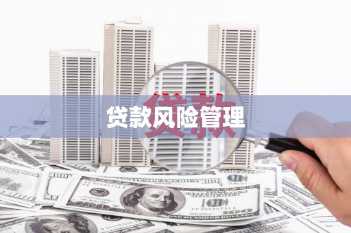 湖北贷款风险管理