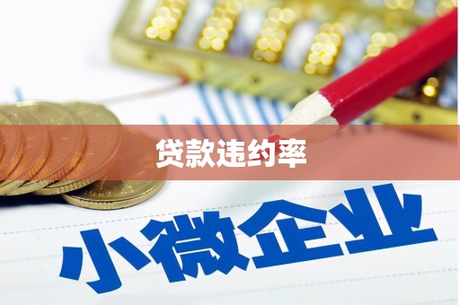 湖北贷款违约率
