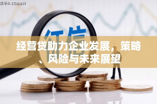 湖北经营贷助力企业发展，策略、风险与未来展望