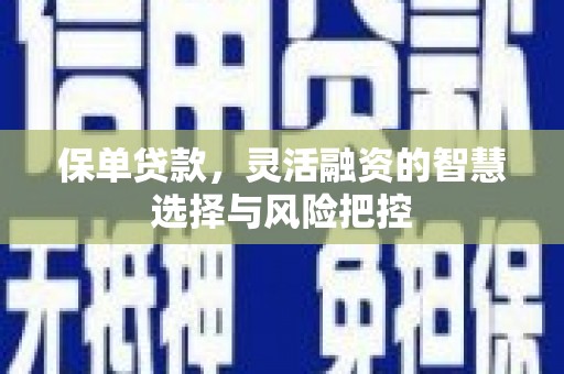 湖北保单贷款，灵活融资的智慧选择与风险把控