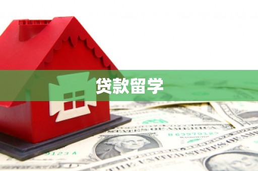 湖北贷款留学