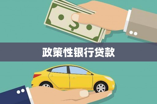 湖北政策性银行贷款