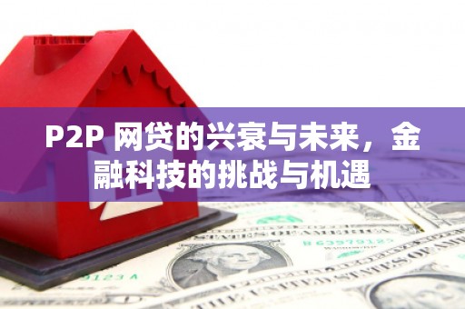 湖北P2P 网贷的兴衰与未来，金融科技的挑战与机遇