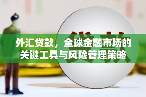 湖北外汇贷款，全球金融市场的关键工具与风险管理策略