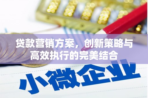 湖北贷款营销方案，创新策略与高效执行的完美结合