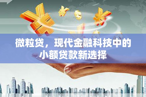 湖北微粒贷，现代金融科技中的小额贷款新选择