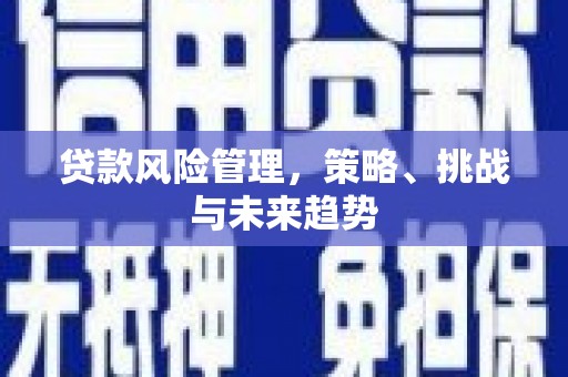 湖北贷款风险管理，策略、挑战与未来趋势