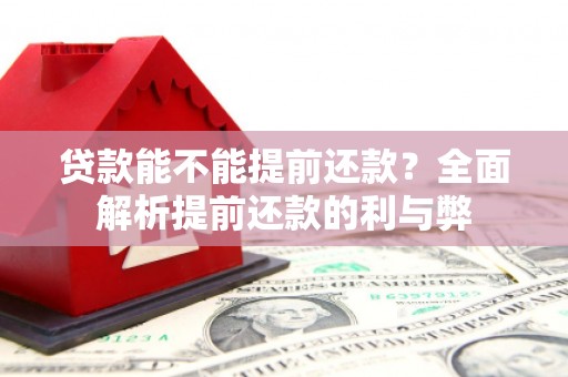 湖北贷款能不能提前还款？全面解析提前还款的利与弊