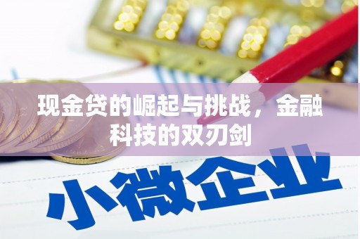 湖北现金贷的崛起与挑战，金融科技的双刃剑