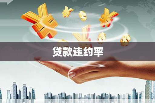 湖北贷款违约率