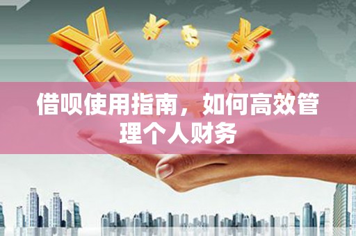 湖北借呗使用指南，如何高效管理个人财务