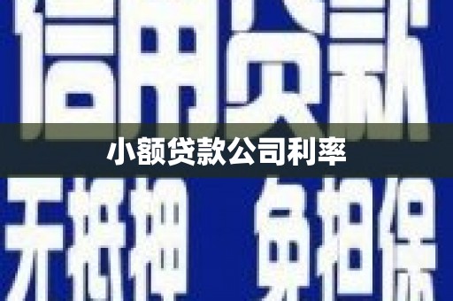 湖北小额贷款公司利率