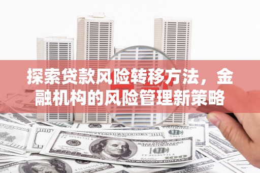 湖北探索贷款风险转移方法，金融机构的风险管理新策略