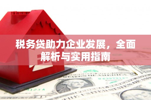 湖北税务贷助力企业发展，全面解析与实用指南