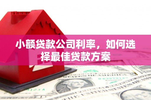 湖北小额贷款公司利率，如何选择最佳贷款方案