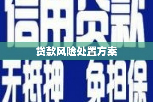 湖北贷款风险处置方案