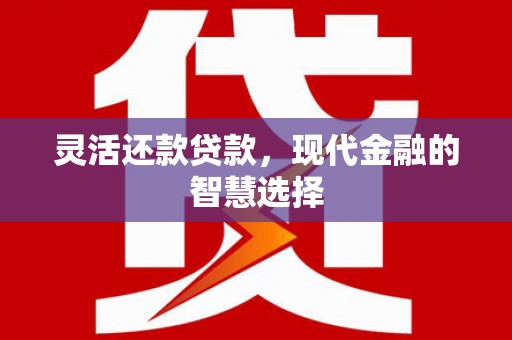 湖北灵活还款贷款，现代金融的智慧选择