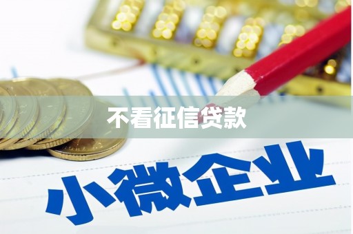 湖北不看征信贷款