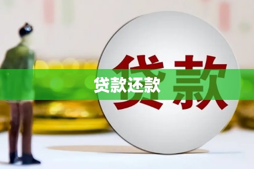 湖北贷款还款